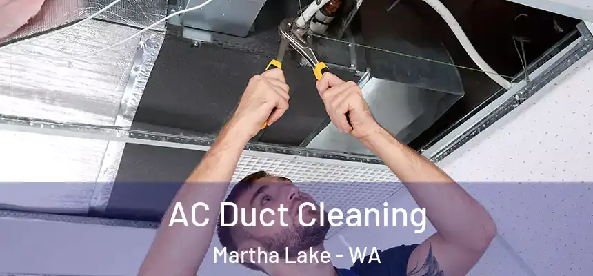  AC Duct Cleaning Martha Lake - WA