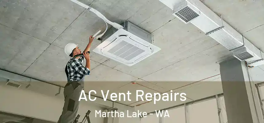 AC Vent Repairs Martha Lake - WA