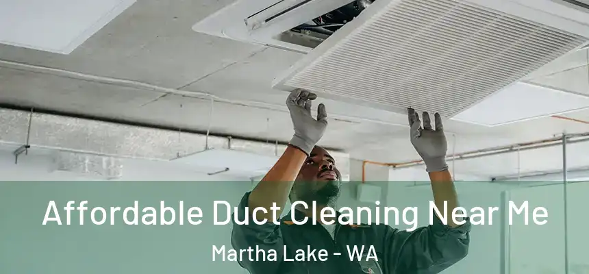  Affordable Duct Cleaning Near Me Martha Lake - WA