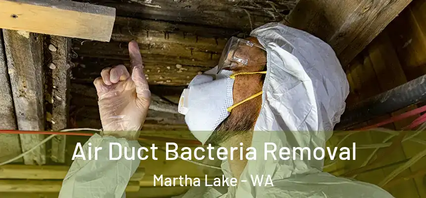  Air Duct Bacteria Removal Martha Lake - WA