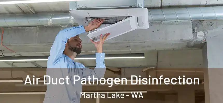  Air Duct Pathogen Disinfection Martha Lake - WA