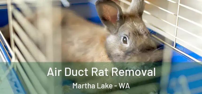  Air Duct Rat Removal Martha Lake - WA