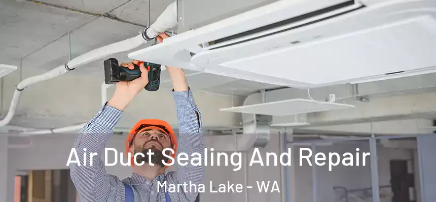  Air Duct Sealing And Repair Martha Lake - WA