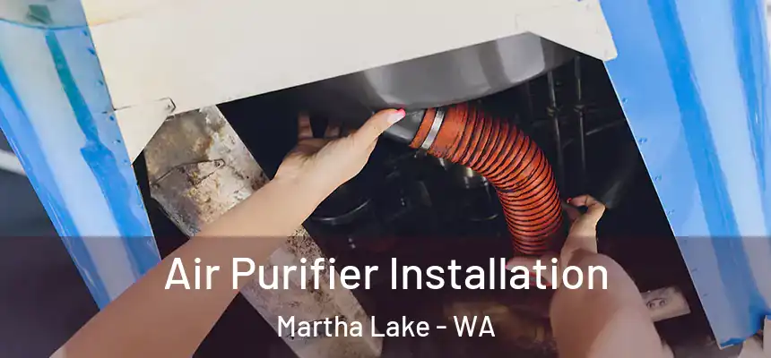  Air Purifier Installation Martha Lake - WA