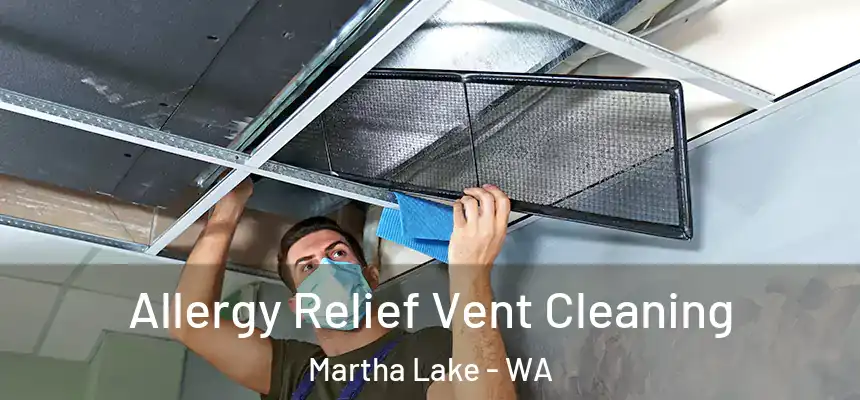  Allergy Relief Vent Cleaning Martha Lake - WA