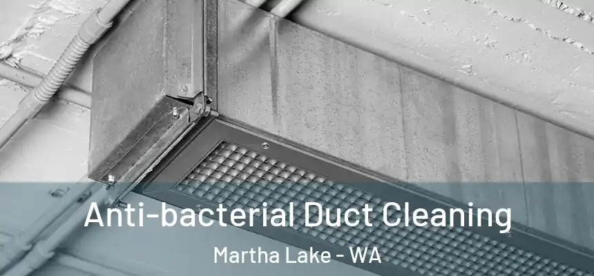  Anti-bacterial Duct Cleaning Martha Lake - WA