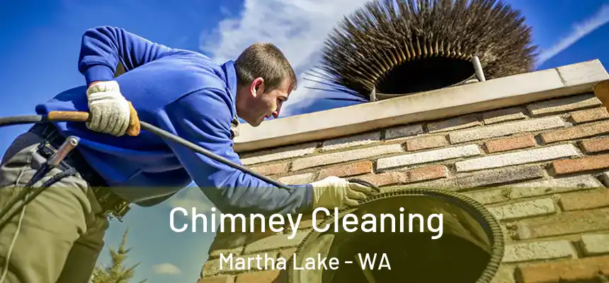  Chimney Cleaning Martha Lake - WA