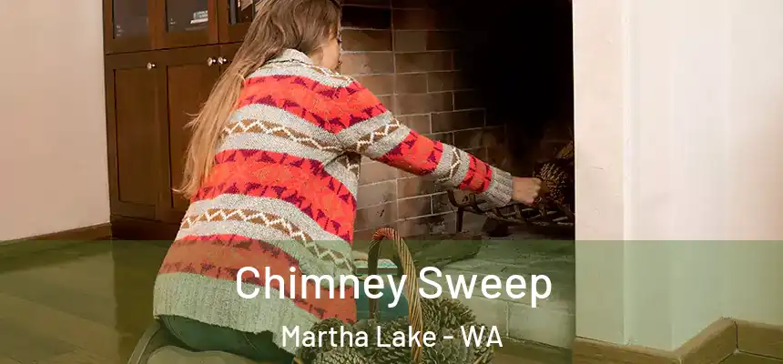  Chimney Sweep Martha Lake - WA