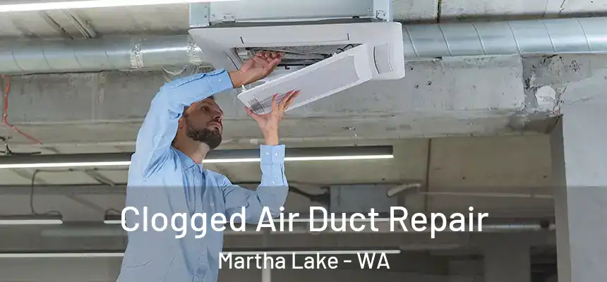  Clogged Air Duct Repair Martha Lake - WA