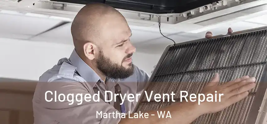  Clogged Dryer Vent Repair Martha Lake - WA