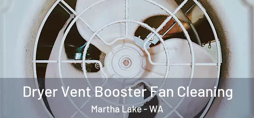 Dryer Vent Booster Fan Cleaning Martha Lake - WA