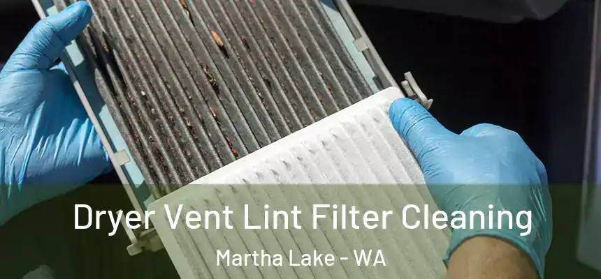  Dryer Vent Lint Filter Cleaning Martha Lake - WA
