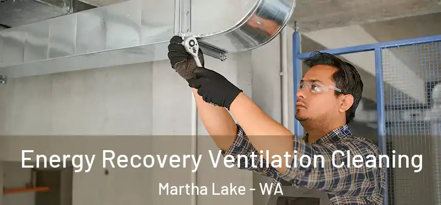  Energy Recovery Ventilation Cleaning Martha Lake - WA