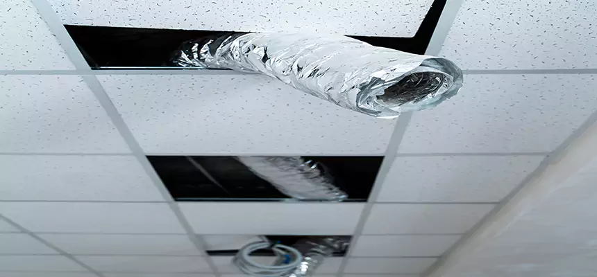 Affordable HVAC Sanitizing After Pest Removal in Martha Lake