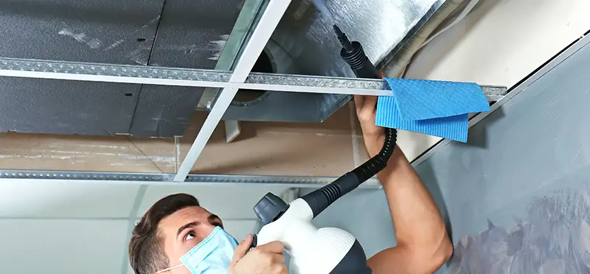 Our Air Duct Rodent Removal Services in Martha Lake, WA