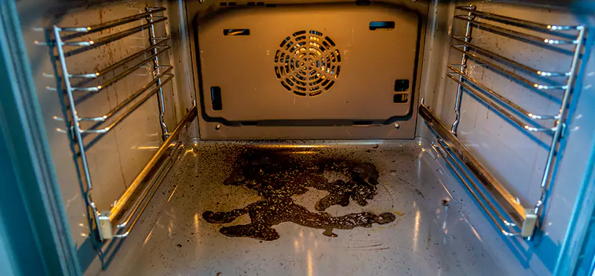 Our Dryer Vent Mold Cleaning Services in Martha Lake, WA