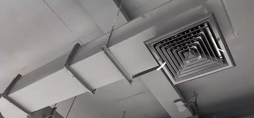 Our Pest Removal From Ducts Services in Martha Lake, WA