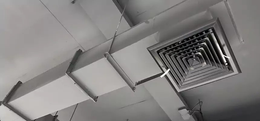 Our Rodent Droppings In Vents Services in Martha Lake, WA