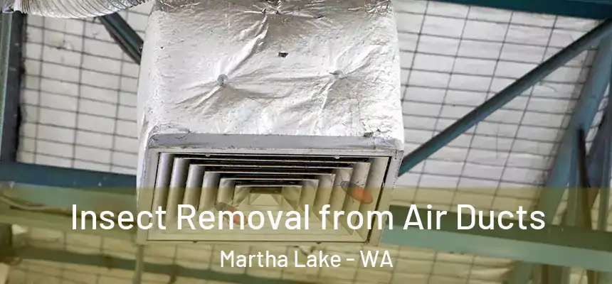  Insect Removal from Air Ducts Martha Lake - WA