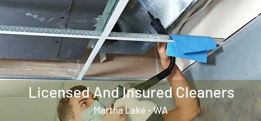  Licensed And Insured Cleaners Martha Lake - WA