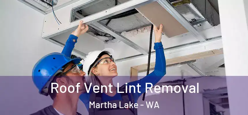  Roof Vent Lint Removal Martha Lake - WA