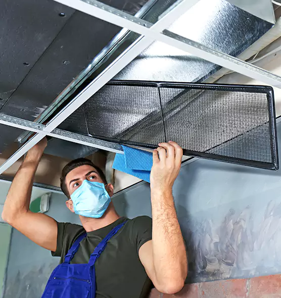 About Air Duct Bacteria Removal in Martha Lake