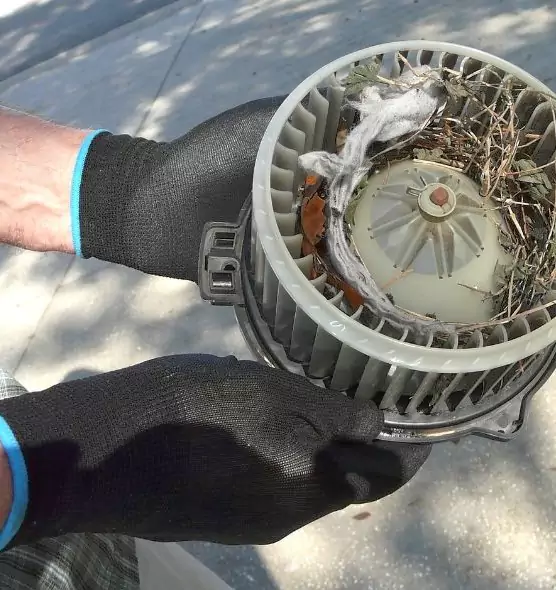 About Air Duct Mice Removal in Martha Lake, WA