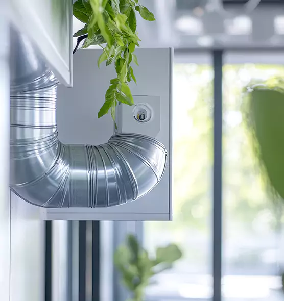 Professional Eco-Friendly Duct Cleaning Services in Martha Lake, WA