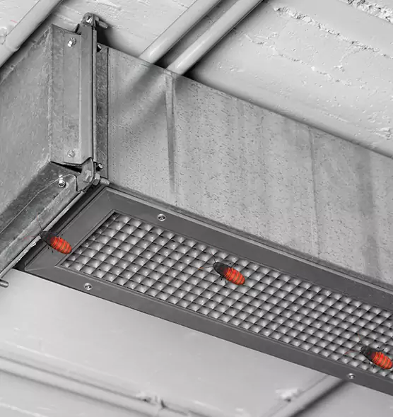 Affordable Insect Removal from Air Ducts in Martha Lake, WA