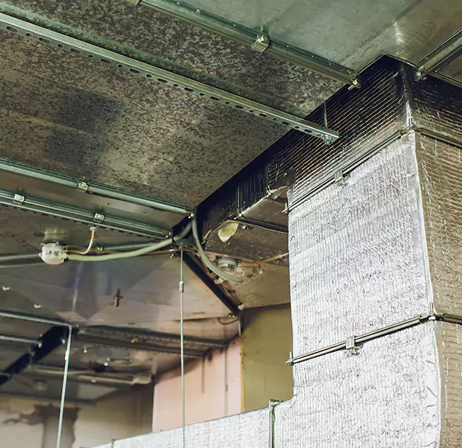 Why Homeowners & Businesses Trust Us in Martha Lake, WA?