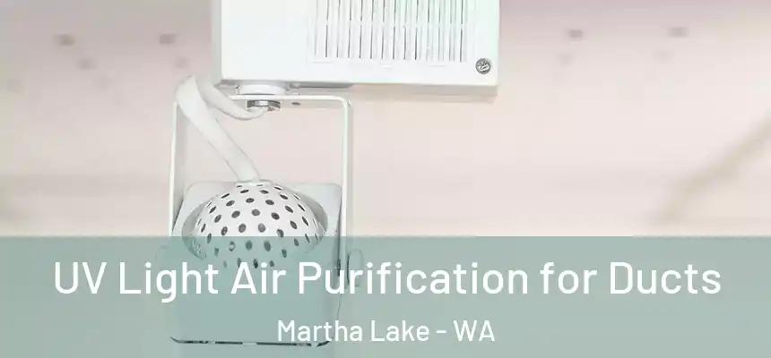  UV Light Air Purification for Ducts Martha Lake - WA