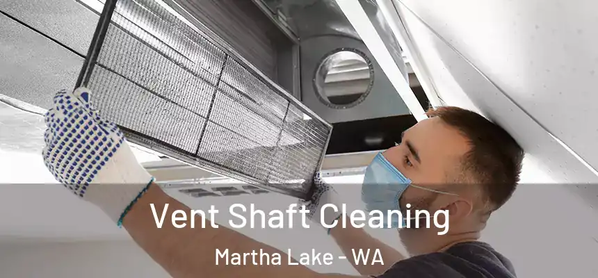  Vent Shaft Cleaning Martha Lake - WA